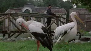 Задник до фильму"Андеґраунд" #754490