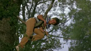 Задник до фильму"Срібна куля" #280913