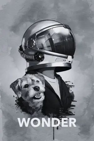 Постер до фильму"Диво" #601072