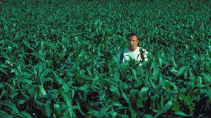 Задник до фильму"Поле чудес" #719584