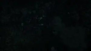 Задник до фильму"Ґодзілла" #613084