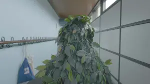 Задник до фильму"" #722605