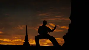 Задник до фильму"Кікбоксер" #808308