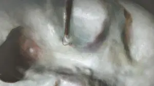 Задник до фильму"" #583879