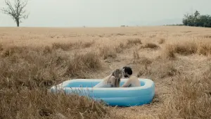 Задник до фильму"" #368859
