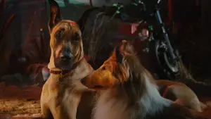 Задник до фильму"Мармадюк" #616775