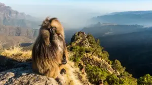 Задник до фильму"Le royaume des nuages" #800284