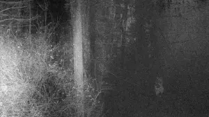 Задник до фильму"" #449269