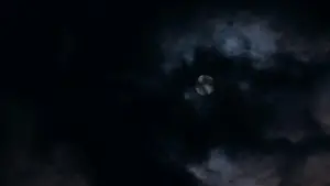 Задник до фильму"Смак вишні" #695670