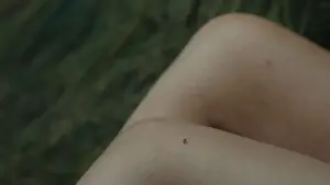 Задник до фильму"" #730348