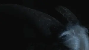 Задник до фильму"" #427277