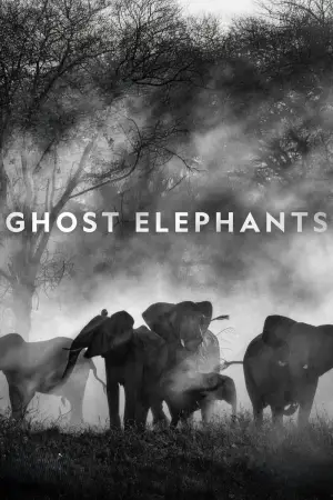 Постер до фильму"Ghost Elephants" #764761