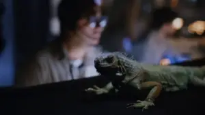 Задник до фильму"Карнозавр 2" #765482