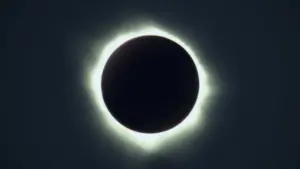 Задник до фильму"" #393818