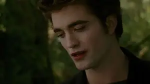 Задник до фильму"Сутінки. Сага: Новий місяць" #519840