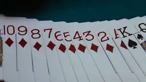 Задник до фильму"Магнолія" #670119