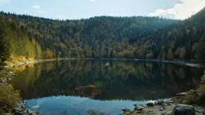 Задник до фильму"" #705210