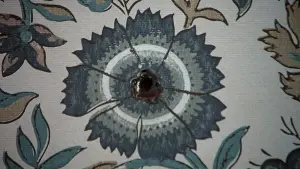 Задник до фильму"" #379305