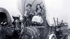 Задник до фильму"" #691670