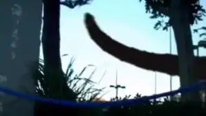 Задник до фильму"" #704843