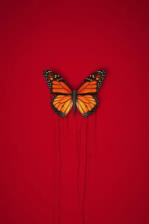 Постер до фильму"Антебеллум" #293601