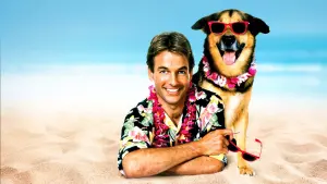 Задник до фильму"Літня школа" #337489