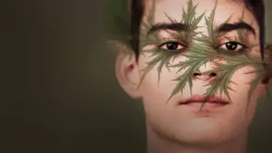 Задник до фильму"Шарлатан" #492766