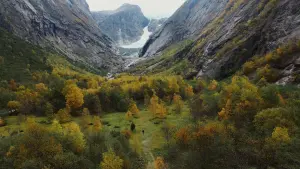 Задник до фильму"" #192045