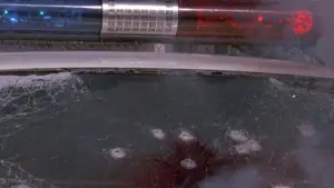 Задник до фильму"Скажені пси" #602685