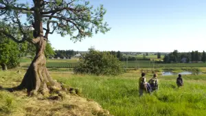 Задник до фильму"A Hero