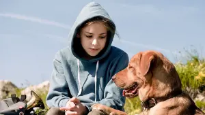 Задник до фильму"Білий бог" #276207