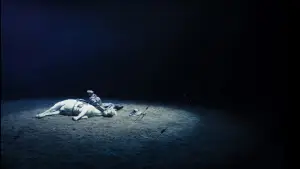 Задник до фильму"一匹白馬的熱夢" #914811