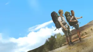 Задник до фильму"Вовча яма 2" #433069