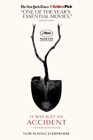 Постер до фильму"Проста випадковість" #509112