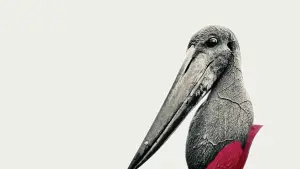 Задник до фильму"Eureka" #756746