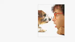 Задник до фильму"Люба, я зменшив дітей" #668526