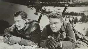 Задник до фильму"" #734931