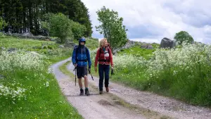 Задник до фильму"Compostelle" #796468