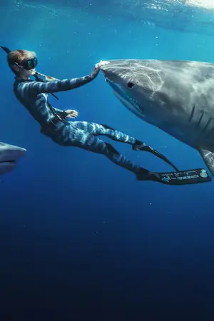 Постер до фильму"Заклиначка акул" #793241