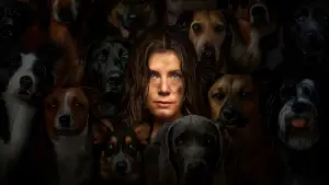 Задник до фильму"Нічна сучка" #643583