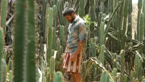 Задник до фильму"பைசன் காளமாடன்" #786342