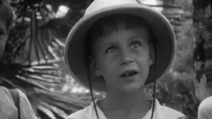 Задник до фильму"De Indische tafel, jongens van de Japanse kampen" #777235