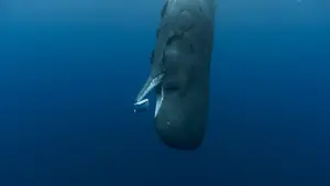 Задник до фильму"Вартові планети" #196751