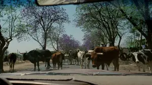 Задник до фильму"І твою маму теж" #698370