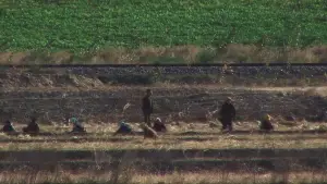 Задник до фильму"Beyond Utopia" #755816