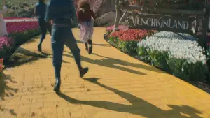 Задник до фильму"" #529794