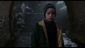 Задник до фильму"Сам удома 2: Загублений у Нью-Йорку" #567436