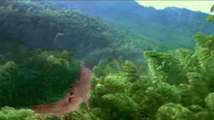 Задник до фильму"Будинок літаючих кинджалів" #809657