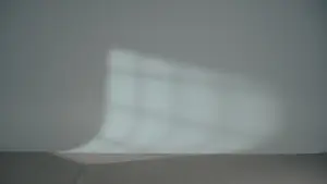 Задник до фильму"The Catcher" #776864