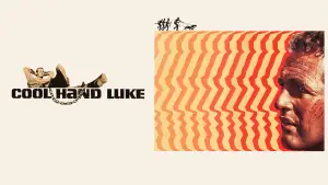 Задник до фильму"Холоднокровний Люк" #754833